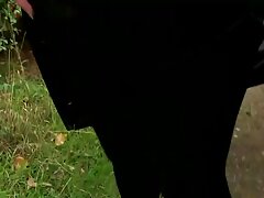 Inviato il marito, una bionda dalla piscina video porn italiane