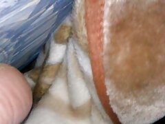 Una donna rossa ha presentato il suo amante calvo per xxx amatoriale gratis essere